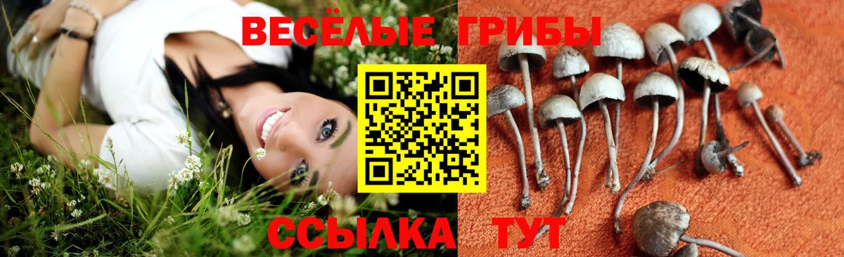 продажа наркотиков  Псилоцибиновые грибы ЛСД  Вход с VPN  Кунгур 